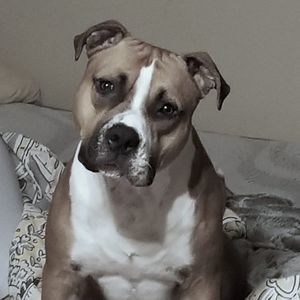 Meet your Posher, William